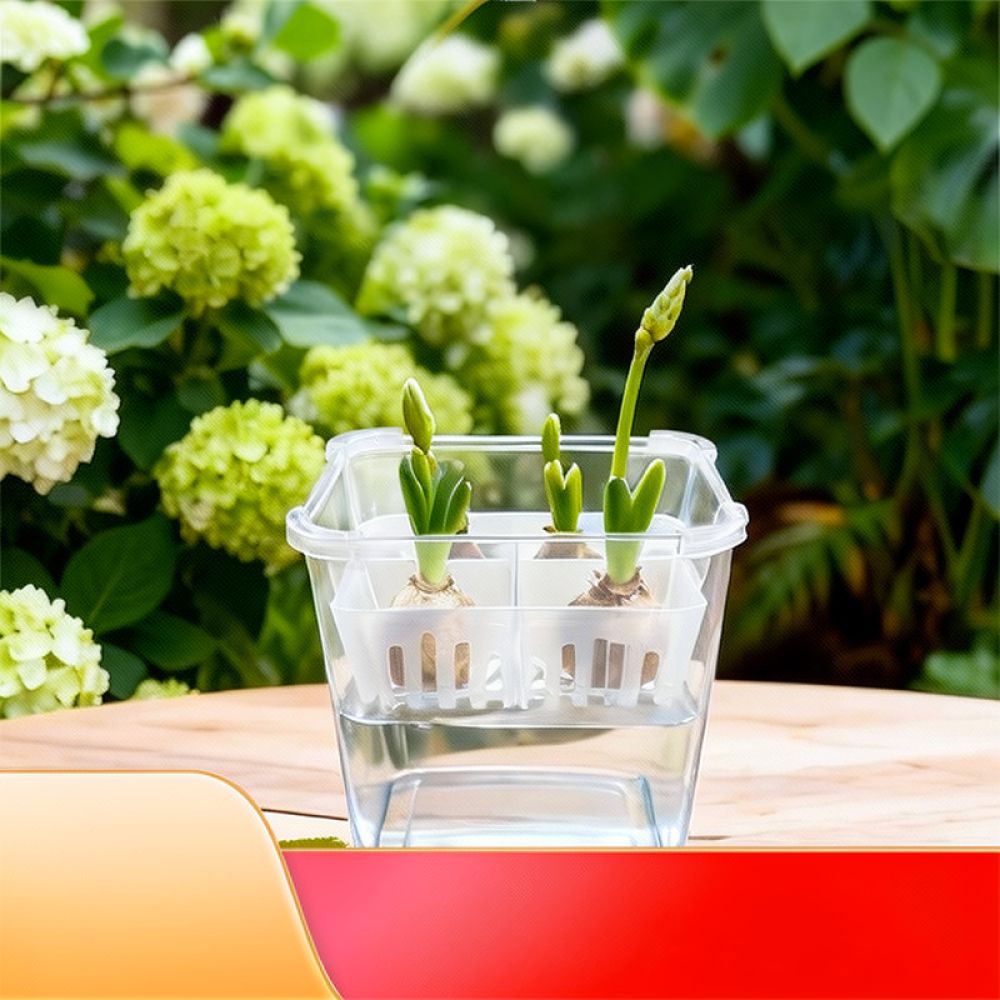 Hydroponische Vase für Tulpen- – Vase Decor Bewertung und Preis